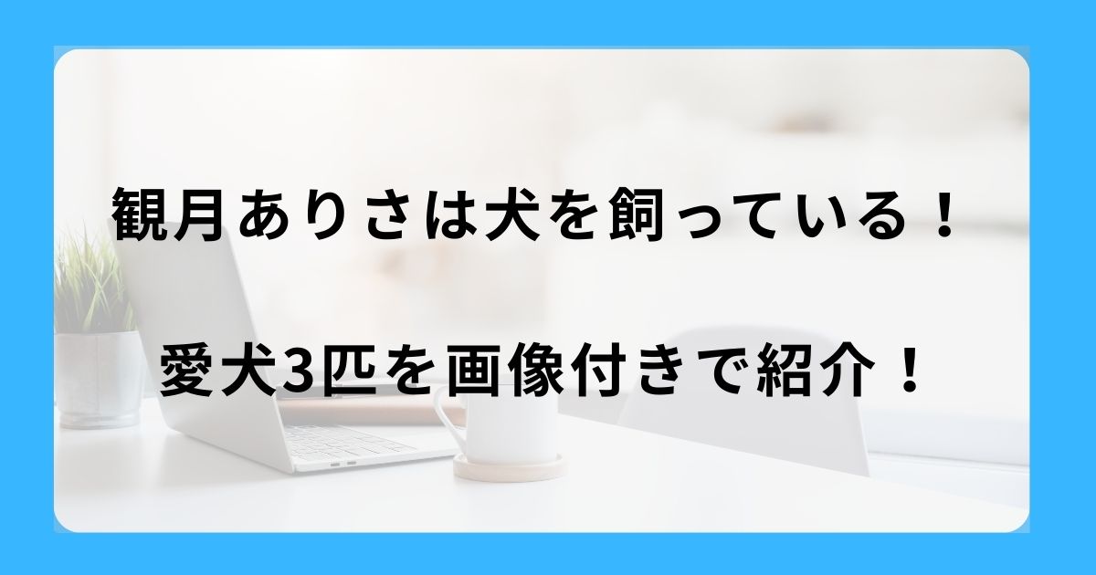 観月ありさは犬を飼っている！愛犬3匹を画像付きで紹介！